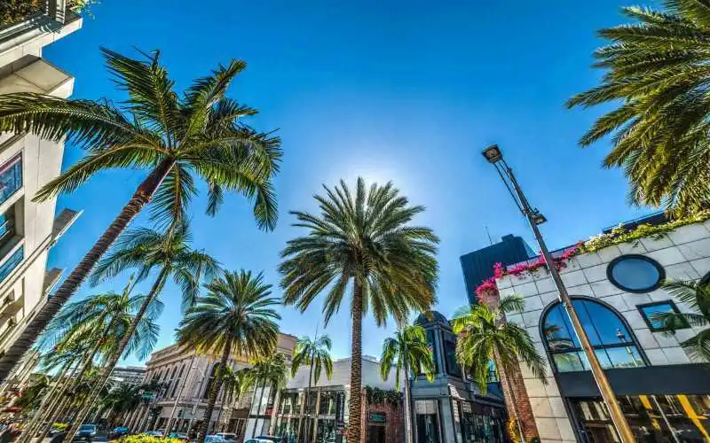 Campus view