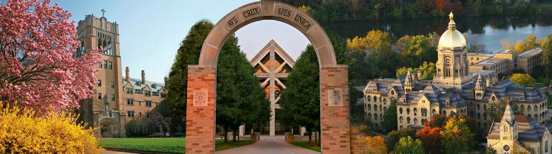 Campus view