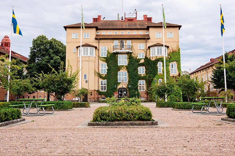 Campus view